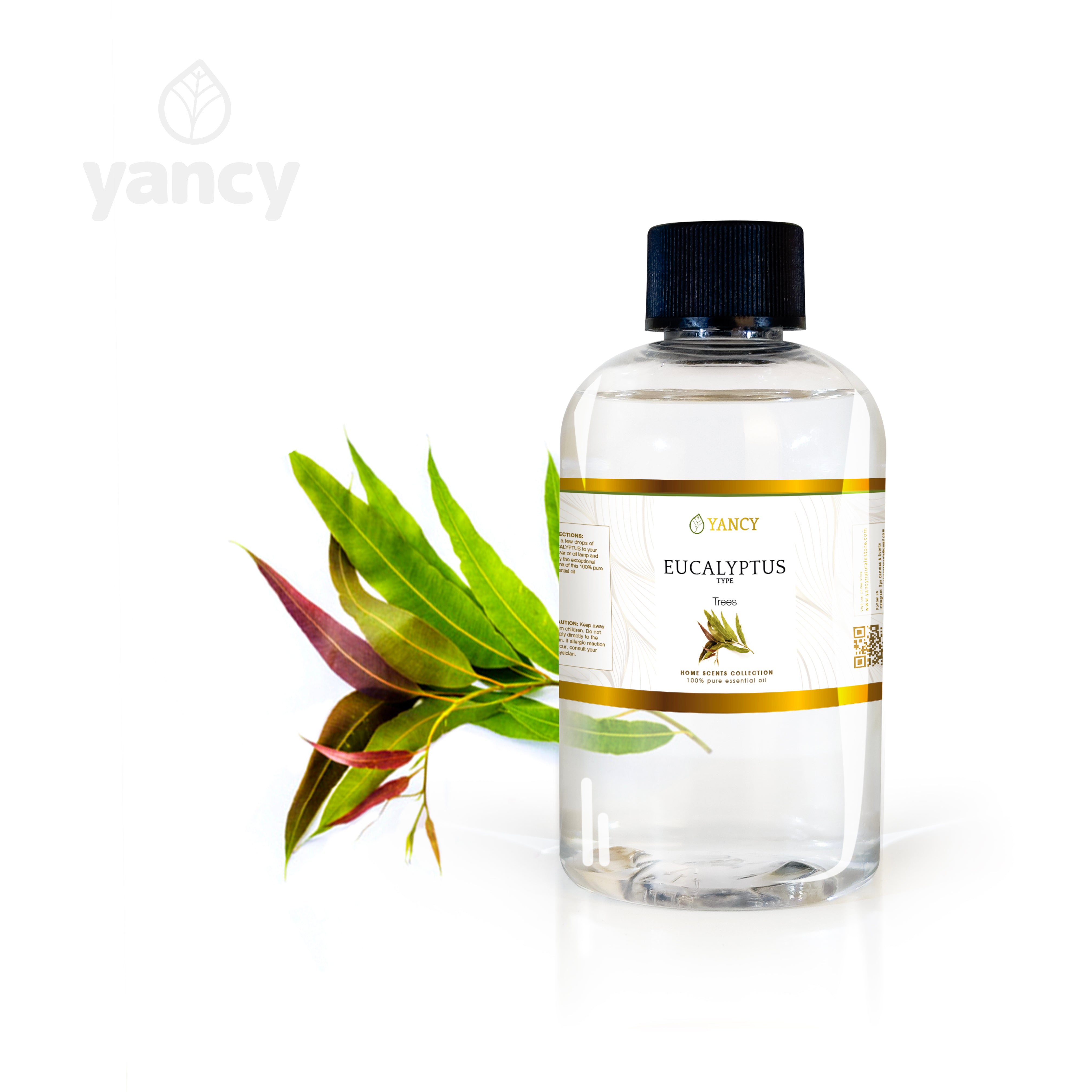 Eucalyptus Scent | Home Collection