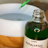 Eucalyptus Scent | Home Collection